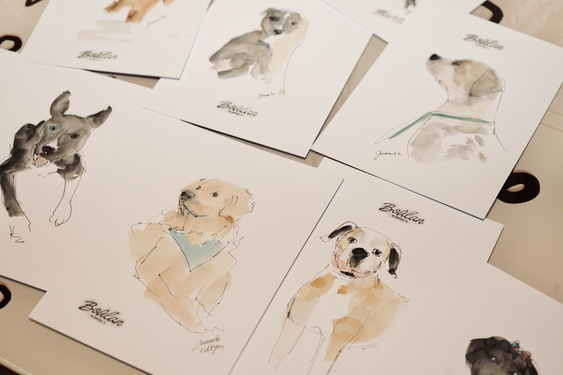 Boulan — Live Pet Portraits